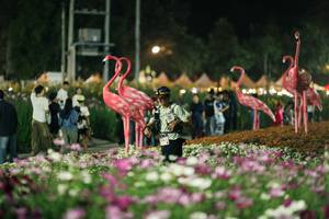 BIB: 
                            <button type="button" onclick="openModal(27337301)" class="btn btn-primary btn-sm float-right btn-popup" data-toggle="modal" data-target=".modal-high-quality">
                        <i class="fas fa-shopping-cart"></i> Add to Cart
                    </button>
                                            <button type="button" onclick="isThisMe(27337301, true)" class="btn btn-success btn-sm float-right btn-popup btn-isme hidden" data-toggle="tooltip" data-placement="bottom" title="นี่คือรูปของคุณใช่ไหม คลิกที่นี่เพื่อเอาเข้าอัลบั้ม">
                        <i class="fas fa-plus"></i> Add to album
                    </button>
                    <button type="button" onclick="isThisMe(27337301, false)" class="btn btn-warning btn-sm float-right btn-popup btn-isnotme hidden">
                        <i class="fas fa-ban"></i> Remove from album
                    </button>